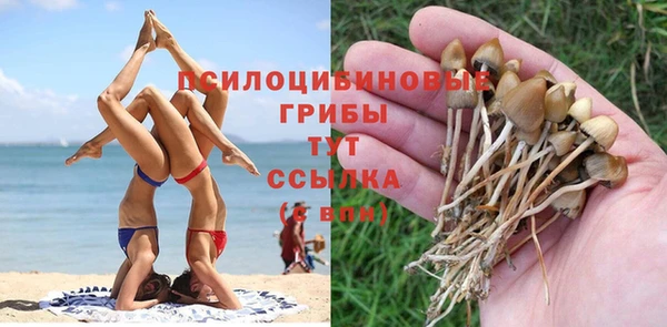 МДПВ Алексеевка