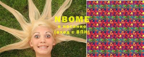 шишки Алексин