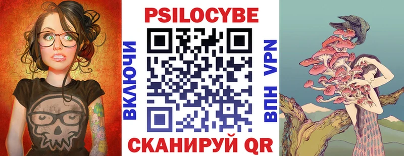 как найти Димитровград Галлюциногенные грибы Cubensis